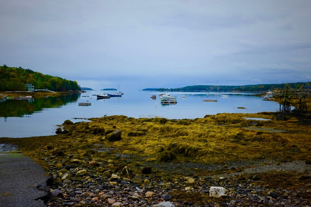 A rocky shore with boats in the water

AI-generated content may be incorrect.