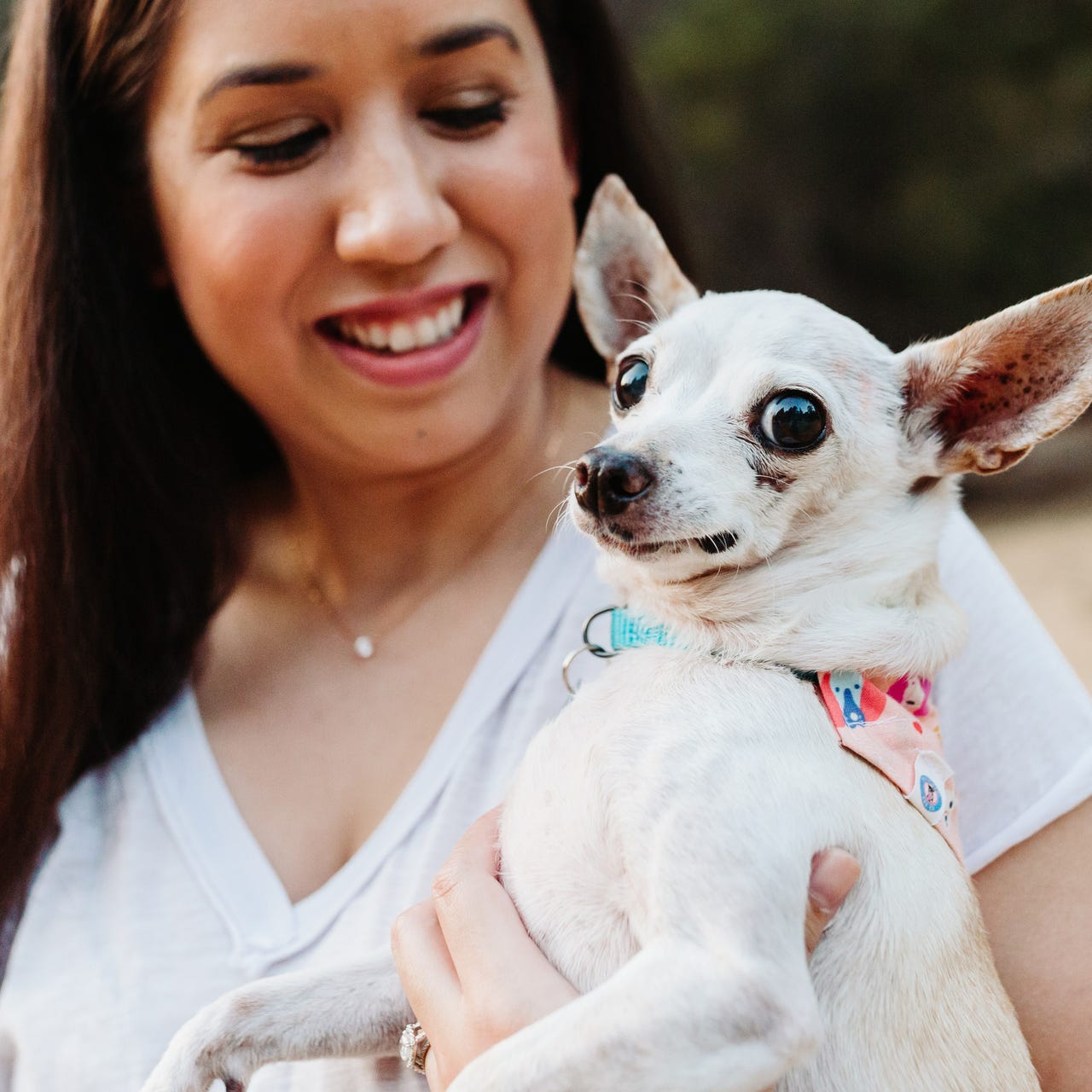 All the Foster Feelings