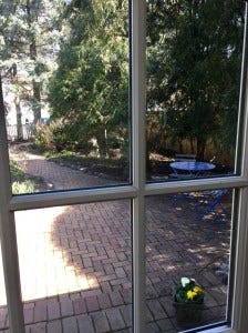 door closed door closed
