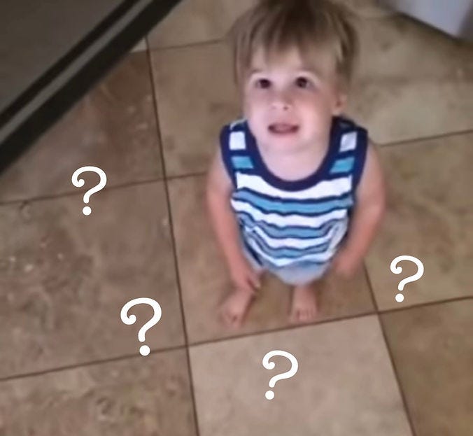 kid with questions
