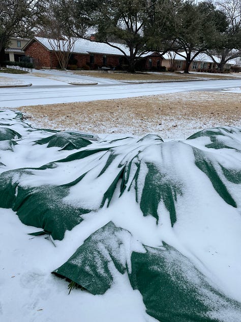 Image 1: close-up of sleet, which looks like a cluster of round balls of ice, Image 2: Landscape covers with sleet on them, Image 3: a human hand holding an oak leaf covered in a layer of ice, Image 4: leaves covered in a thin layer of ice, but the sun is shining on them, Image 5: the same leaves now without the ice covering them, Image 6: a hand holding the ice cast that had been on the leaves, Image 7: magnolia leaves covered in ice, Image 8: one of the leaves with the ice removed, Image 9: the ice cast of the magnolia leaf