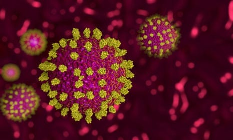 Red viruses with hairs and rough texture floating on a dark red background Red viruses with hairs and rough texture floating on a dark red background