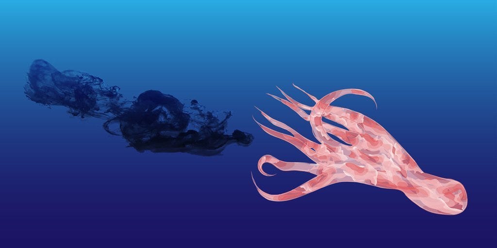 New dental imaging method uses squid ink to detect gum disease - Bite Magazine New dental imaging method uses squid ink to detect gum disease - Bite Magazine