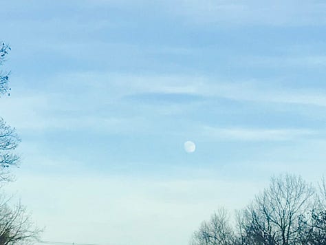 Three images of spending time in nature with animals, a bird feeder, and a moon rise