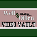 Logo for Video Vault