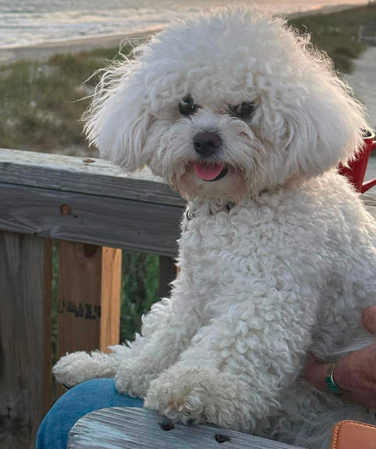 No photo description available.