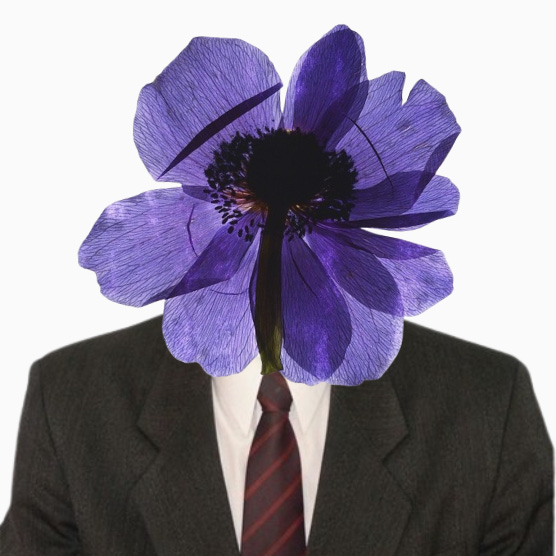 contos, poemas e outros mundos