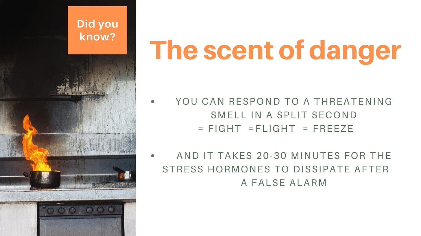 a flaming pot on a kitchen stove with smoke damage on the wall a flaming pot on a kitchen stove with smoke damage on the wall