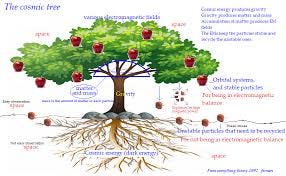 Structural Cosmology (everything theory)