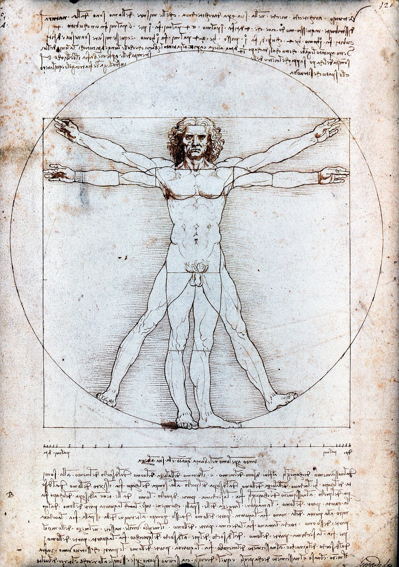 Vitruvian Man Leonardo drawing Vitruvian Man Leonardo drawing
