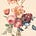 thewildflowers's avatar