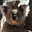 Tom Henry's avatar