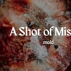 mold