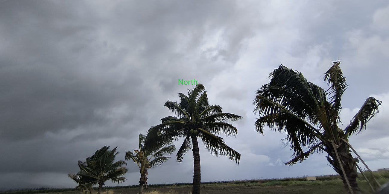 Trade Winds Reverse (Vol.IV)
