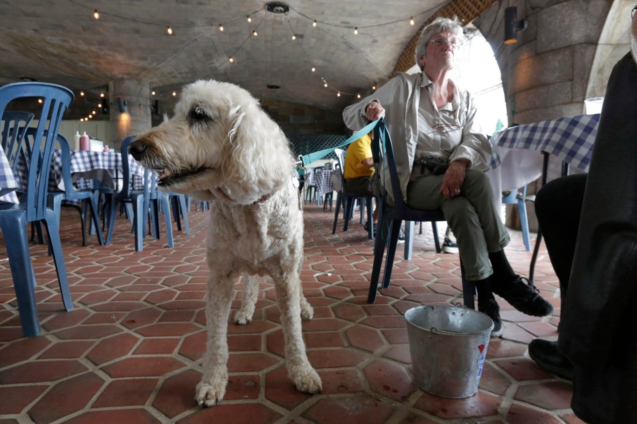 Are you ready to order or do you need a few more minutes?