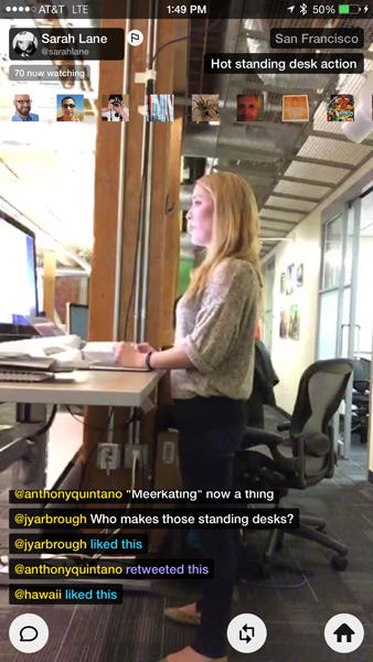 meerkat-sarahlane meerkat-sarahlane