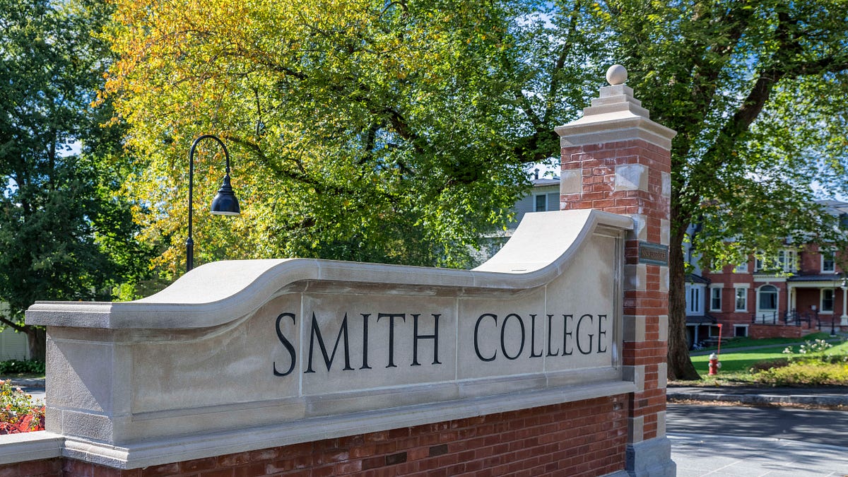 bariweiss.substack.com