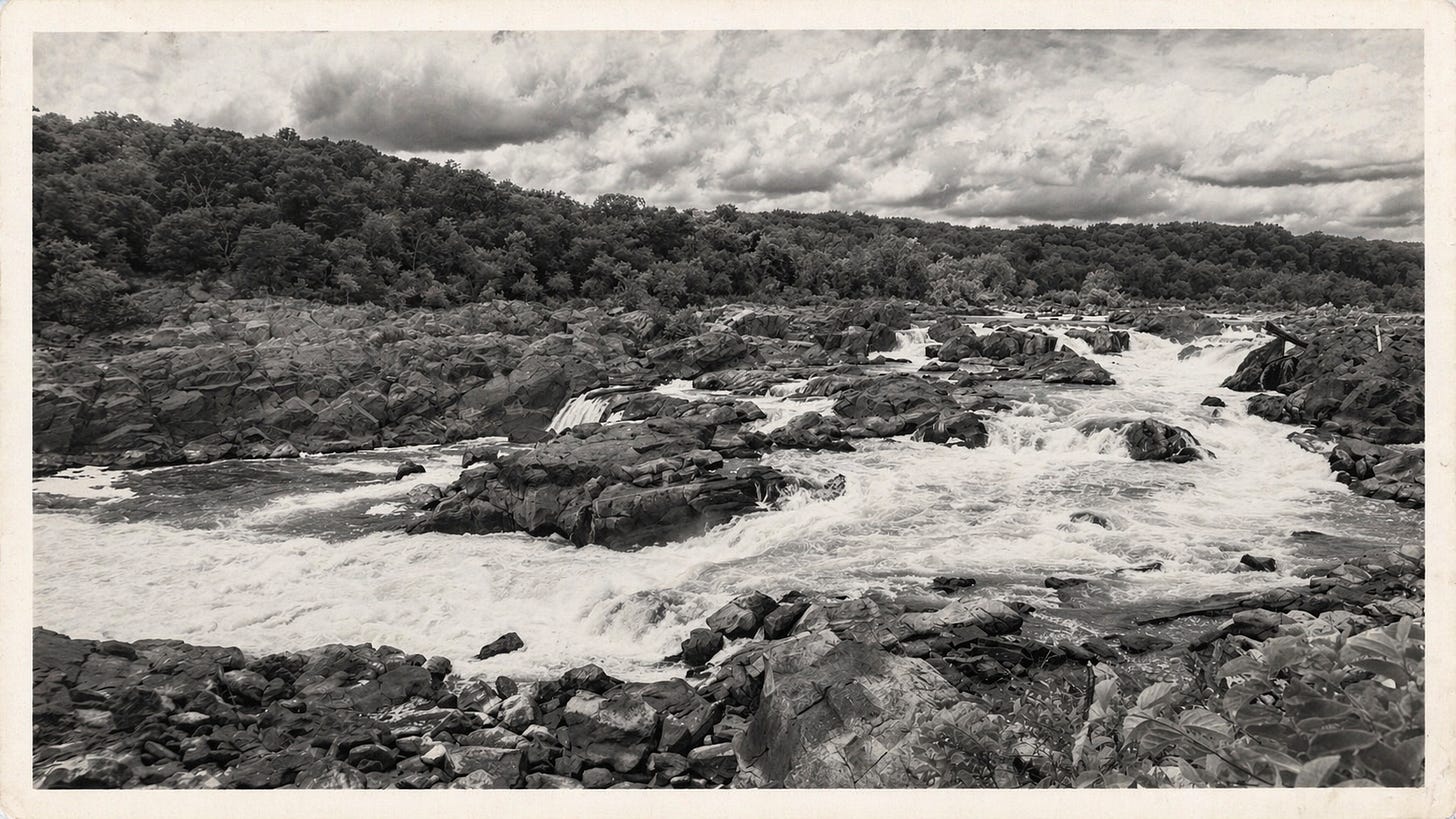 process server stories washington dc