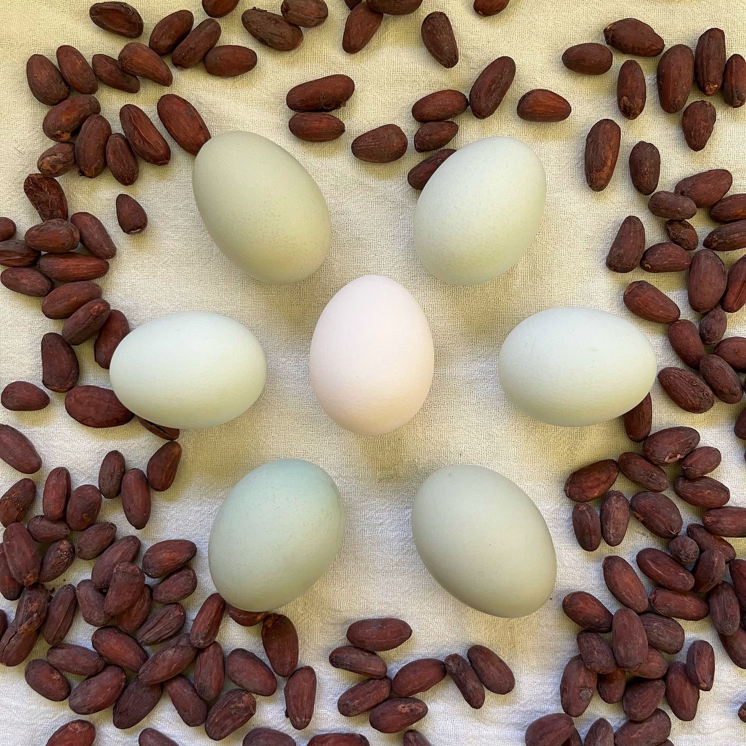 Eggs and cocoa beans