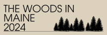 The Woods in Maine