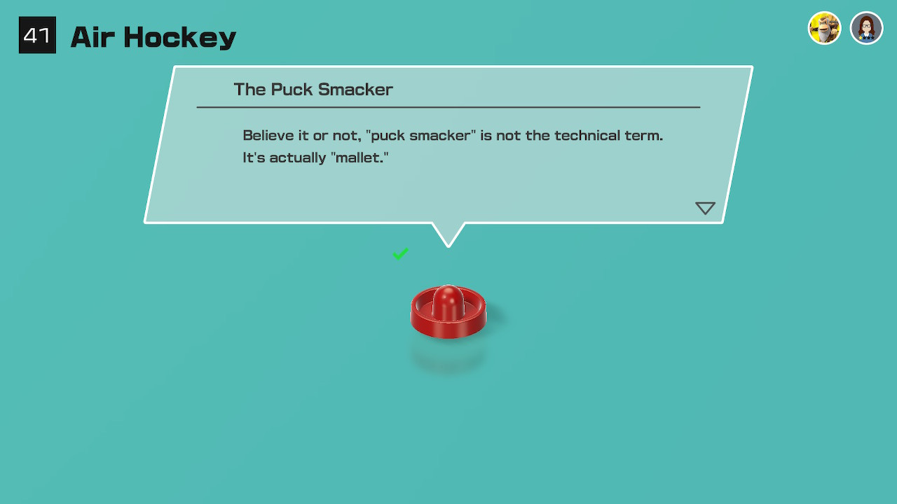 An infograph that reads: "The Puck Smacker: Believe it or not, 'puck smacker' is not the technical term. It's actually 'mallet.'"