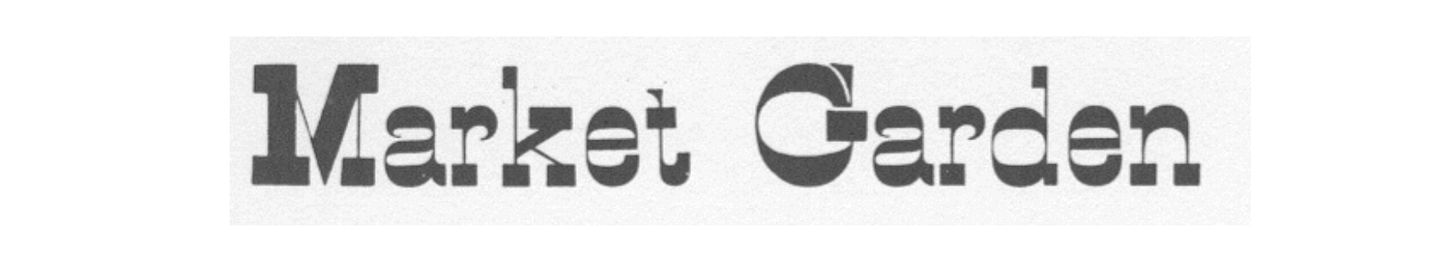 The evolution of weights and proportions.