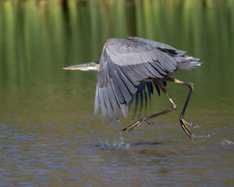 20250818-ElRio-253-Edit-Edit.jpg 20250818-ElRio-253-Edit-Edit.jpg