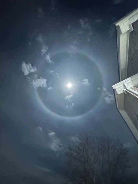 Wolf Moon January 25th, 2024
