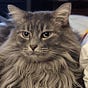 max's avatar