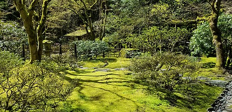 Photos of cherry trees, moss gardens, stone garden, pagoda lantern, Jizo statue, and camellias in bloom