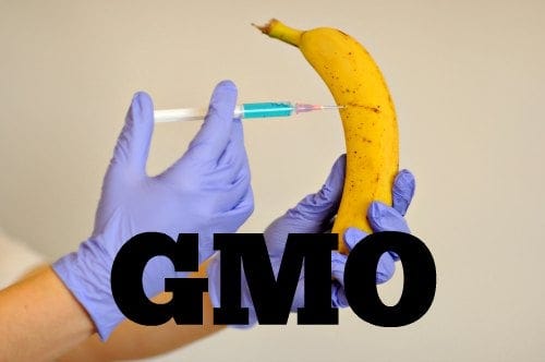 GMO Myths - Understand the Truth About GMO Plants GMO Myths - Understand the Truth About GMO Plants