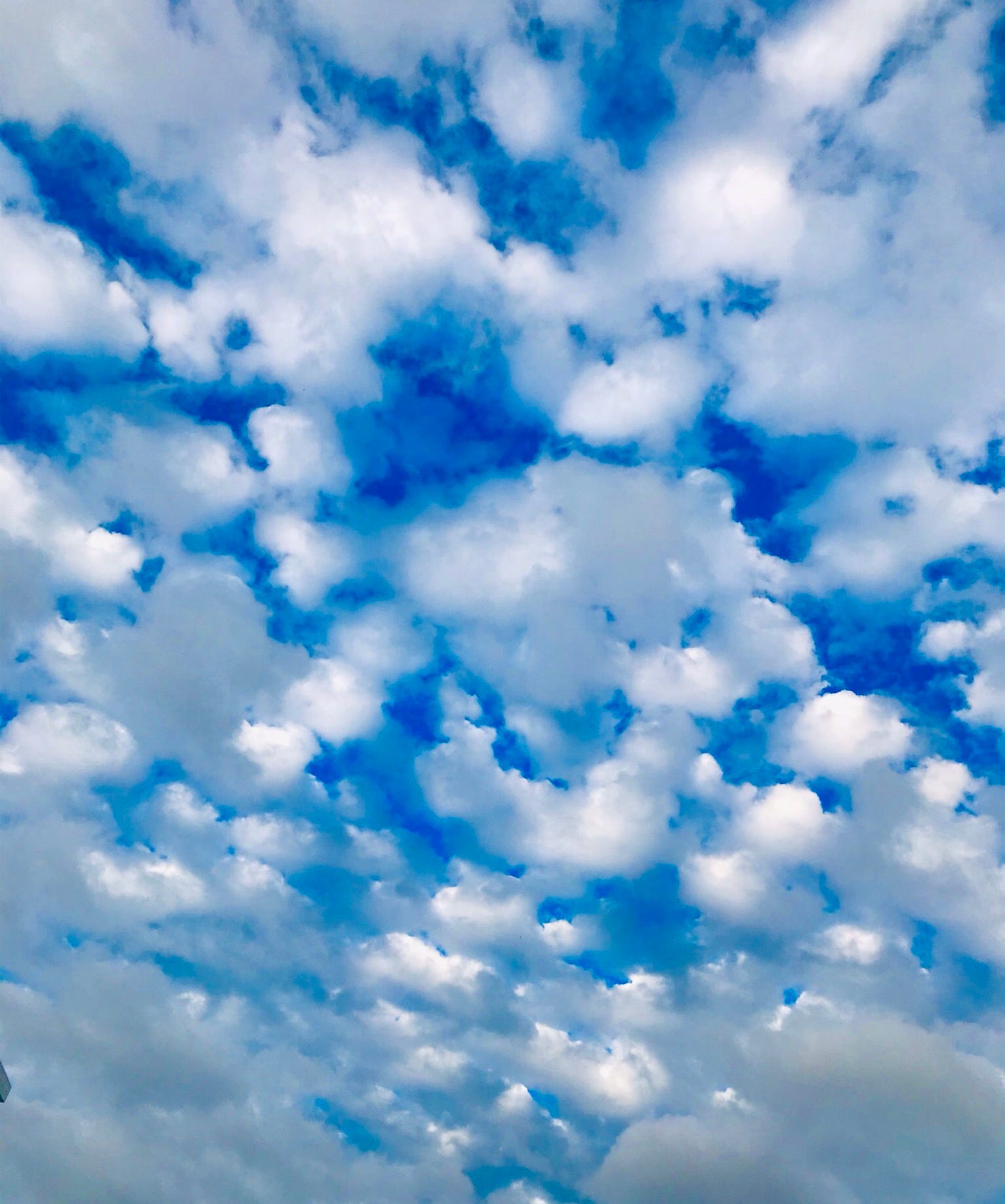 Lung physiology equals salt plus water