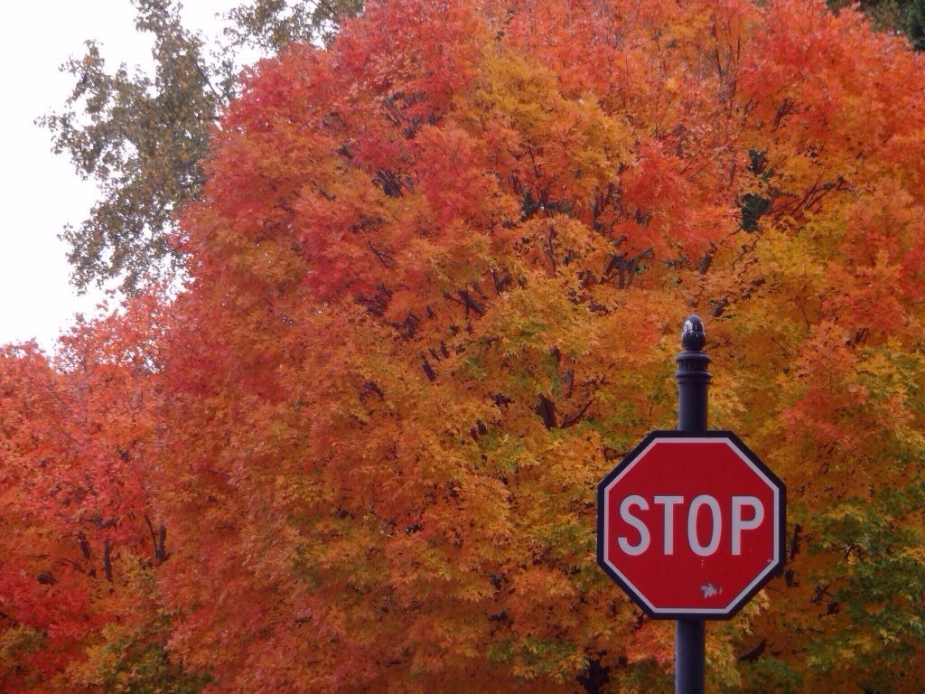 20140121-162857.jpg 20140121-162857.jpg