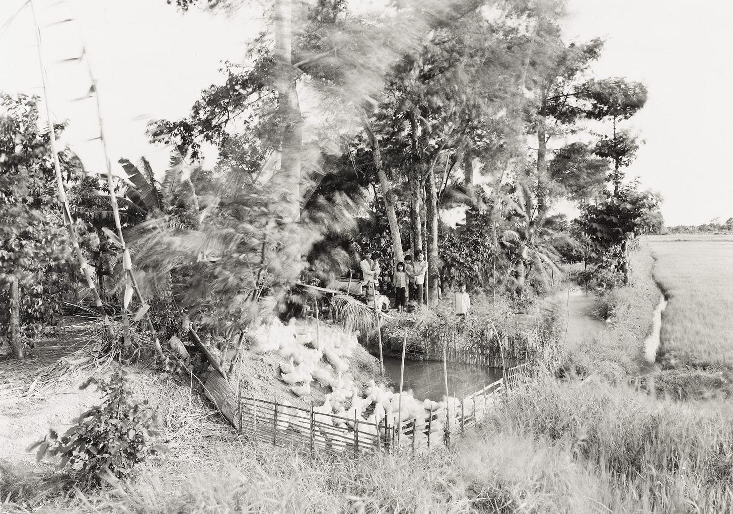 https://www.moma.org/media/W1siZiIsIjI0MjQ4MyJdLFsicCIsImNvbnZlcnQiLCItcXVhbGl0eSA5MCAtcmVzaXplIDIwMDB4MjAwMFx1MDAzZSJdXQ.jpg?sha=68ea5156d8a74fc4