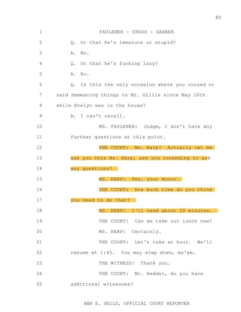 Ulster Family Court Ambush: Helen Garber faces secret contempt hearing, false abuse claims, missing testimony, and altered transcripts.