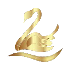 Swan