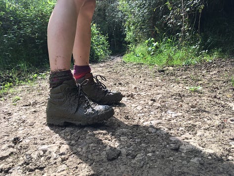 muddy walking boots; wellies on rough ground; a cat inspecting some sandals