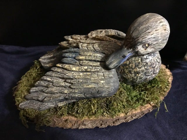 Nesting duck - janet Wolfinger