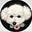 えりりんのアバター