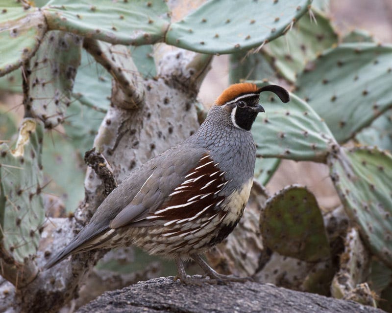 20161223_MBY-44.jpg 20161223_MBY-44.jpg