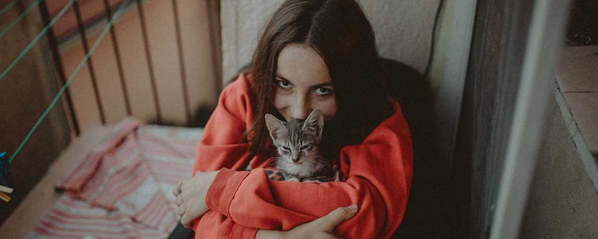 Blog: How To Be a Fabulous Feline Foster Carer