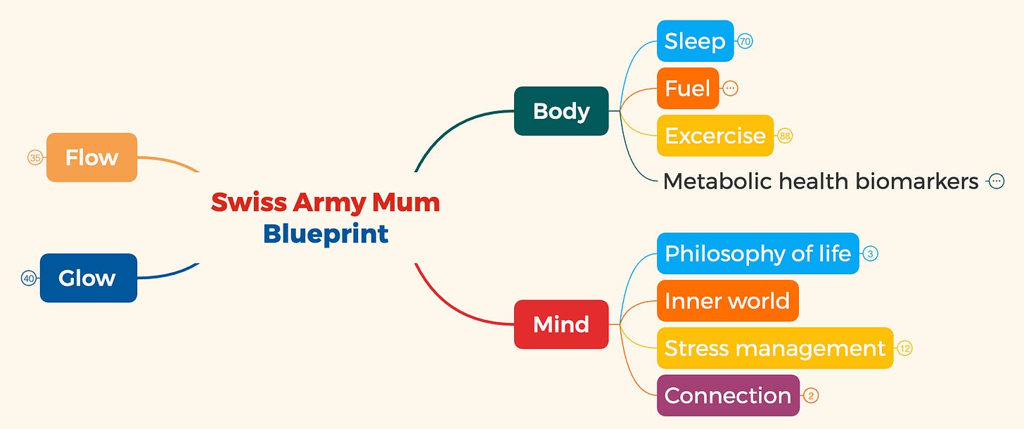 Mindmap of the SAM Mind Pillar showing four areas: Purpose and Philosophy, Inner World, Emotional Resilience, and Connection,