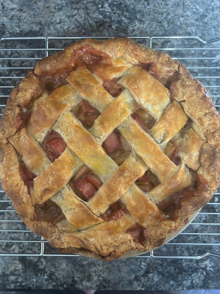rhubarb pie