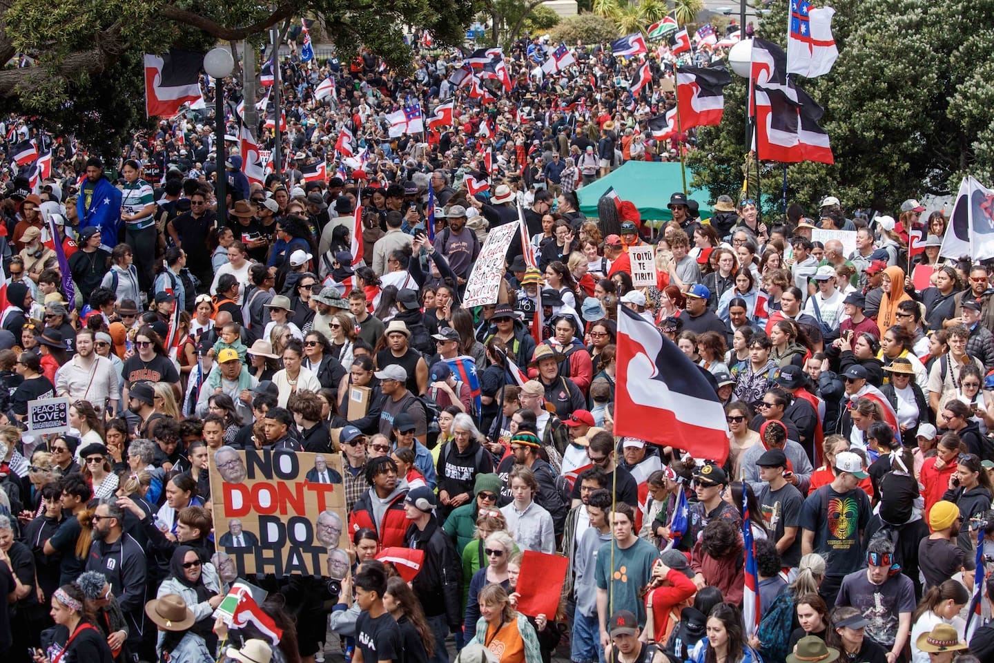 The Hīkoi mō te Tiriti outside Parliament in Wellington in November 2024. Photo / Mark Mitchell
