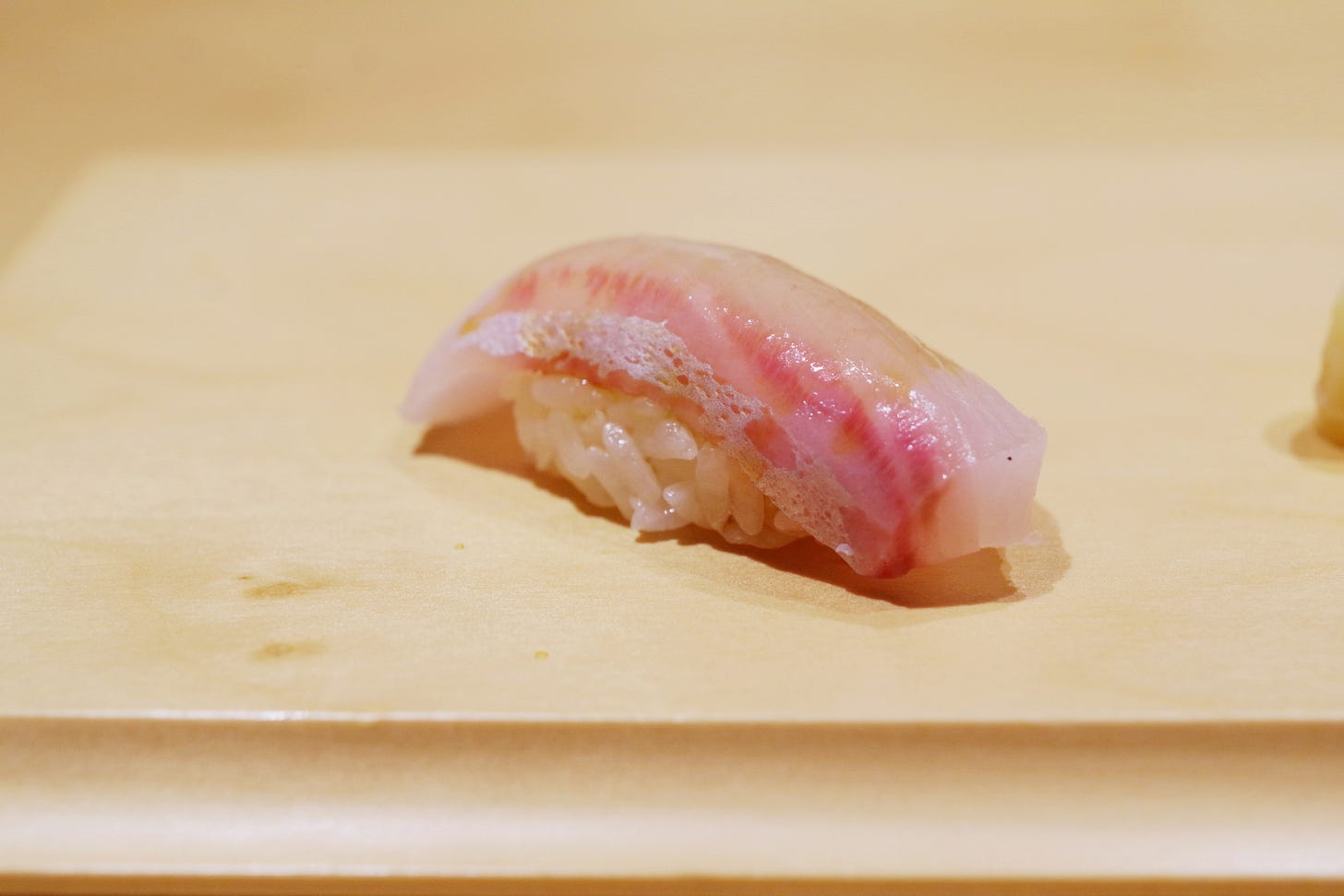 5. A Deep Dive into Sushi Fish No. 22, image size:1456x971
