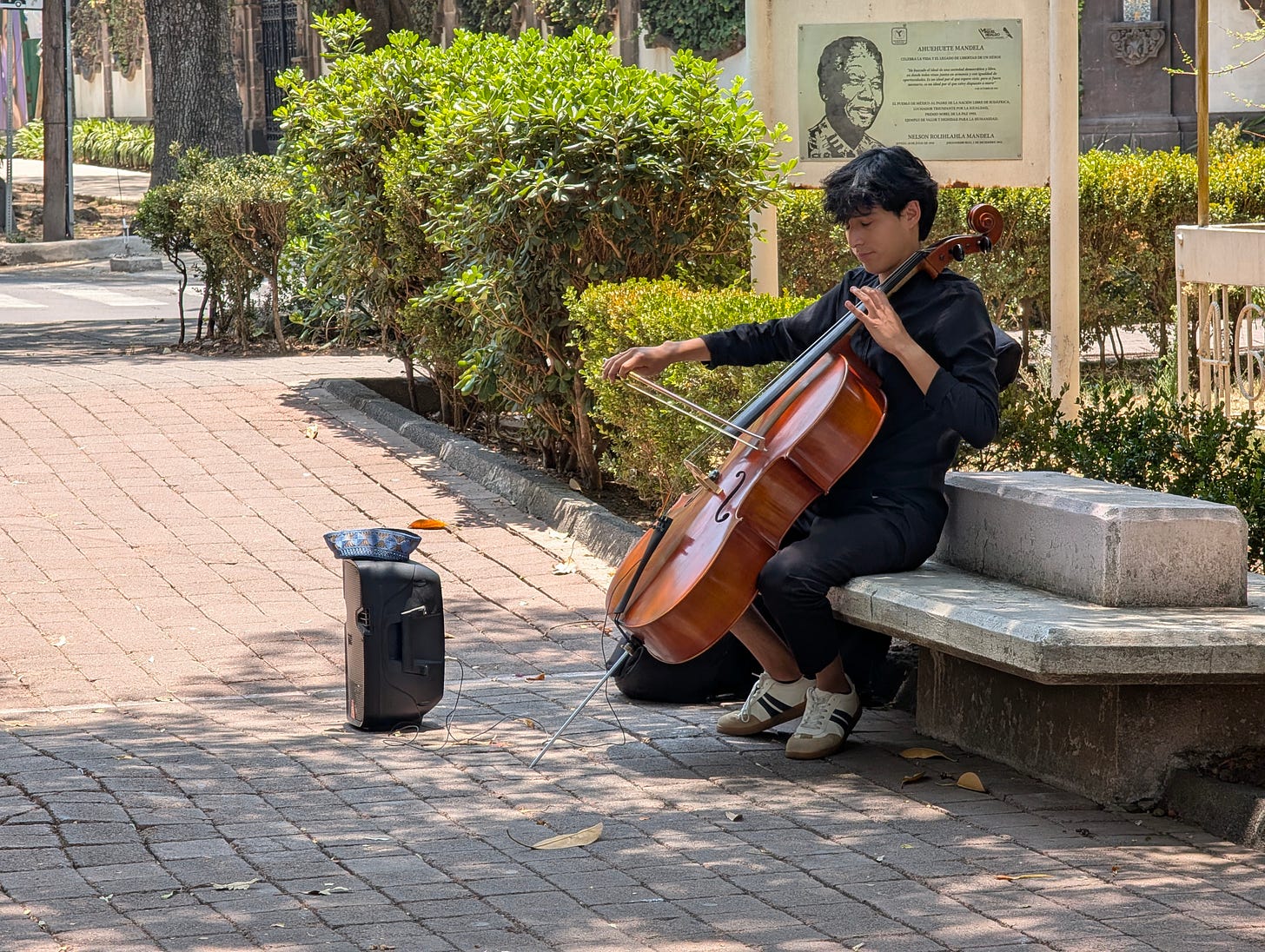 Violinist, Mexico City