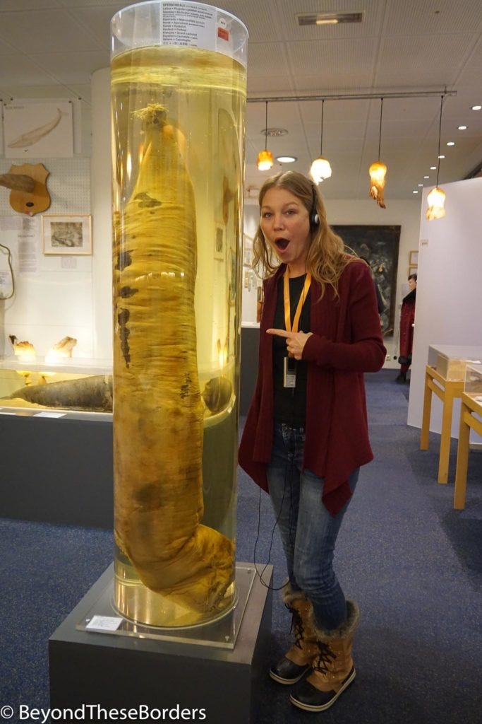 From a juvenile sperm whale... it's not even full sized yet!
