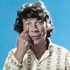 An ecology of looking