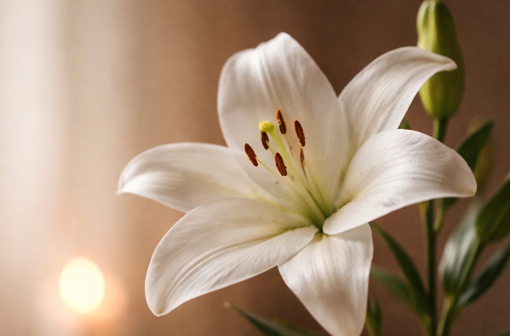 🌿 An Easter Reflection — Part 2: The End