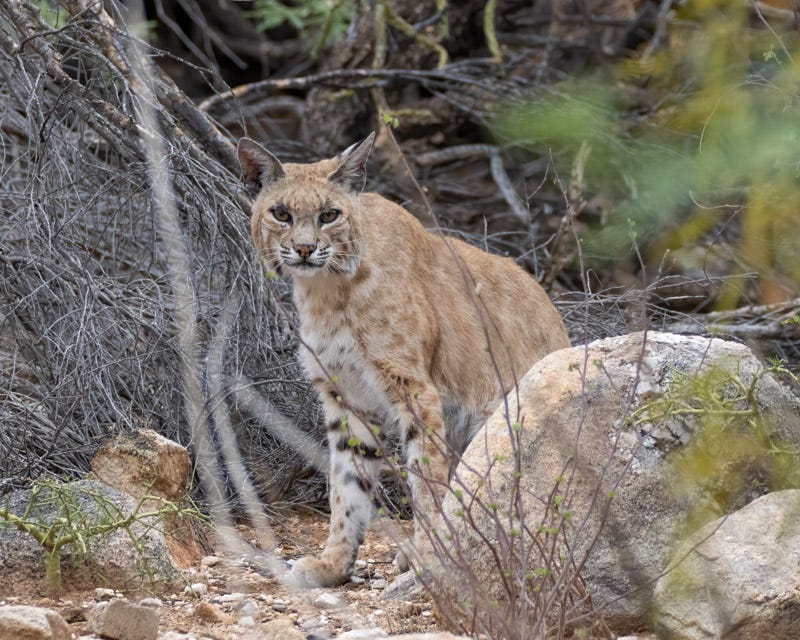 20250702-mby-Edit.jpg 20250702-mby-Edit.jpg